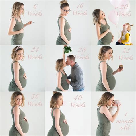 pregnant compilation